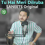 Tu Hai Meri Dilruba - Hindi Song